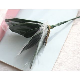 Gốc lá hoa lan trang trí