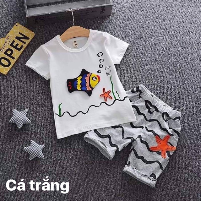 Compo 4 bộ