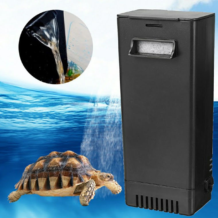 Thiết bị lọc nước cho bể rùa