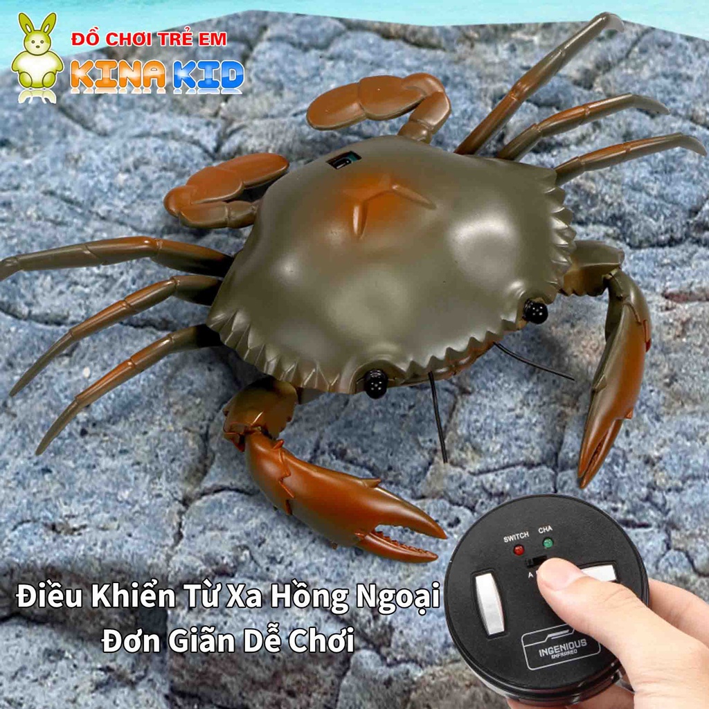 Đồ chơi con cua điều khiển từ xa Crab, biết đi giống như thật