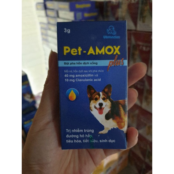 lọ 20ml vmd.pet amox chữa hohen cho chó mèo