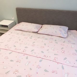 Chiếu lụa điều hòa 2*2,2m