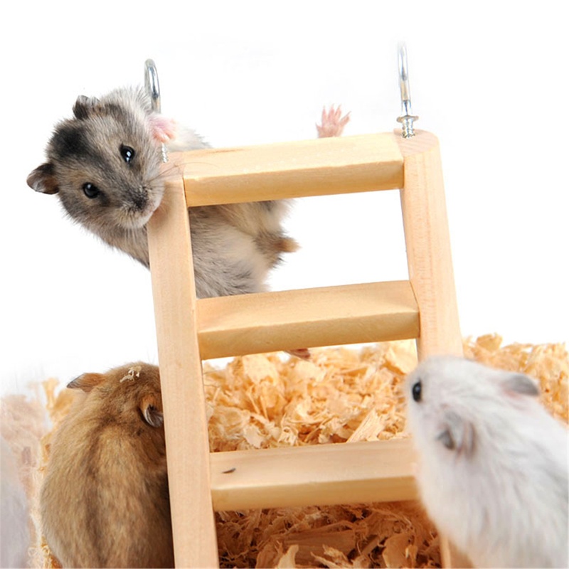 Đồ chơi thang leo có móc treo làm từ gỗ sáng tạo cho chuột hamster/sóc/chuột hamster