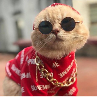 Combo siêu ngầu kính râm và dây chuyền cho chó mèo