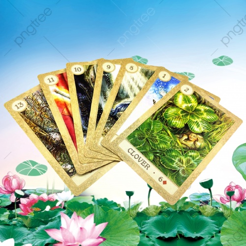 Gumylam GIÁ SIU HẠT DẺ Bộ Bài Tarot Fairy Tale Lenormand (đợt cuối)