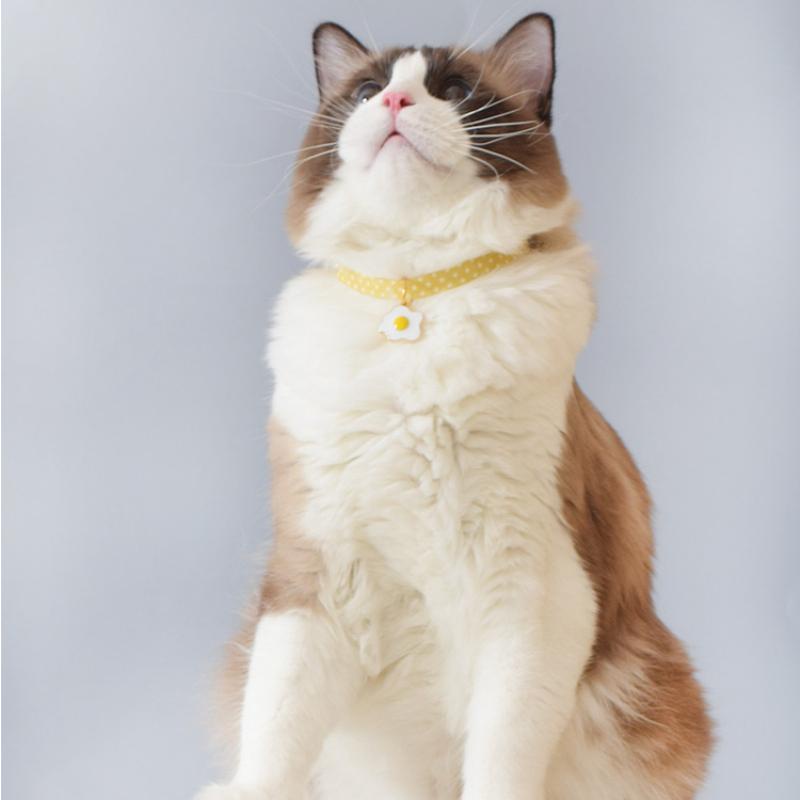 Vòng đeo cổ đính chuông kiểu dáng đáng yêu cho thú cưng