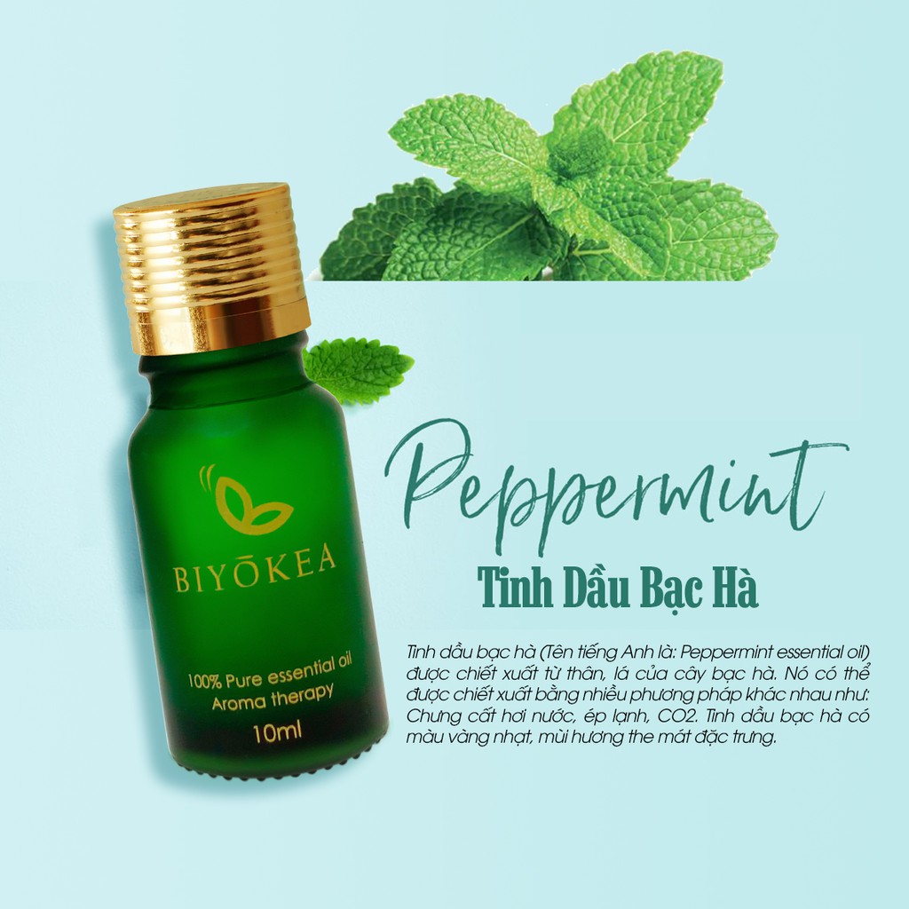 Tinh Dầu Bạc Hà Xông Hương Phòng BIYOKEA 10ml