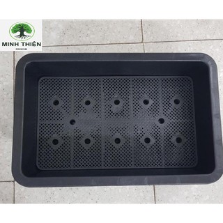 Combo 5 chậu trồng rau sạch tại nhà 65cmx42cmx16cm
