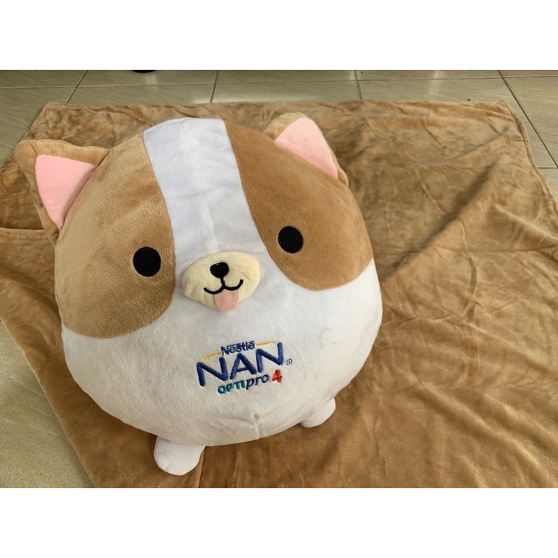 bộ mền gối corgi( bộ mềm gối văn phòng)