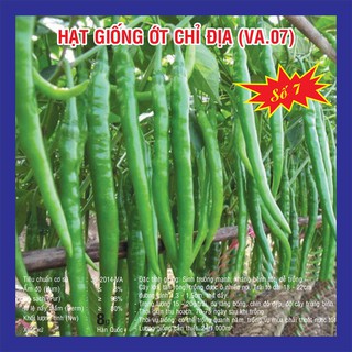 Hạt giống Ớt Chỉ Địa (VA.007) – 0.5gram