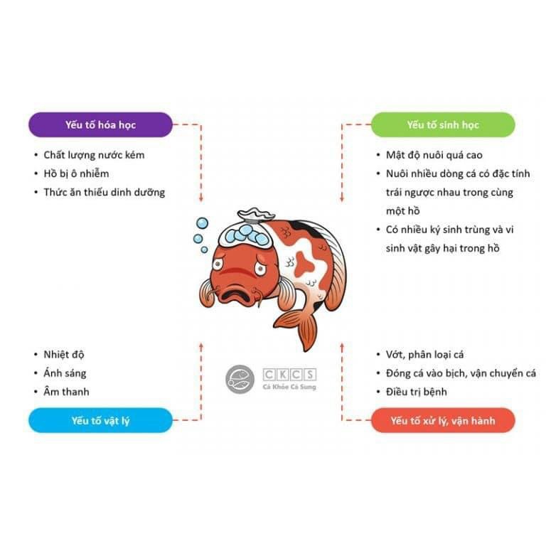 GIẢI ĐỘC KHẨN CẤP CHO CÁ CẢNH ANTI STRESS CKCS 20ML