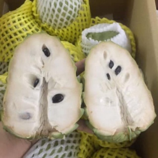 cây Na sầu riêng và  Na Dứa