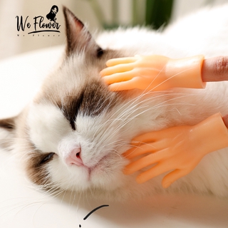 Đồ Chơi Tương Tác Hình Bàn Tay Thú Vị Cho Mèo Cưng