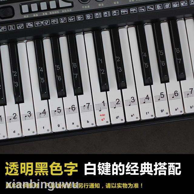 Đàn Piano Điện Tử Kết Nối Bằng Thép Cho Người Mới Bắt Đầu