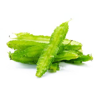 Hạt giống đậu rồng năng suất cao dễ trồng dễ nảy mầm