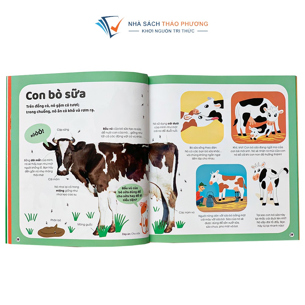 Sách - Khám phá đầu tiên của tớ về …bách khoa tri thức theo các chủ đề