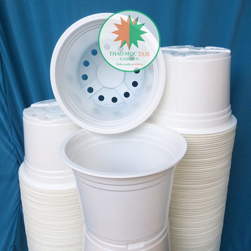 Combo 10 Chậu nhựa trồng hoa (23x16cm), chậu trồng cây - Chậu nhựa PP chất lượng cao,12 lỗ thoát nước, miệng vành cứng