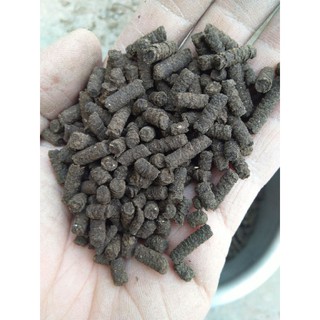1kg Phân dê viên nén tan chậm, đẩy nhanh quá trình hấp thụ dinh dưỡng cho cây
