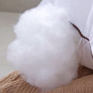ĐÔI RUỘT GỐI POLLOW