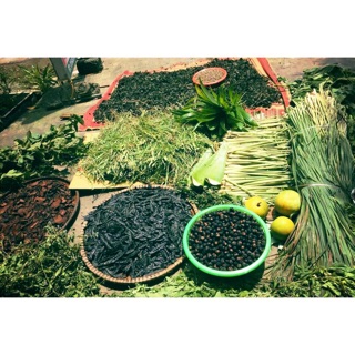 👩🏻‍🌾 Dầu gội Thảo dược handmade VINAHA 👰🏻
