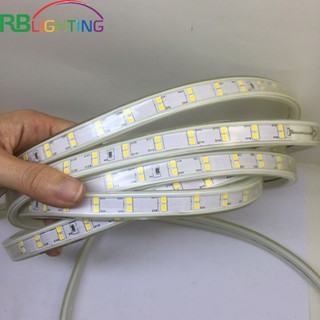 2M LED DÂY HAI ĐƯỜNG LED HẮT TRẦN RB LIGHTING - ÁNH SÁNG VÀNG