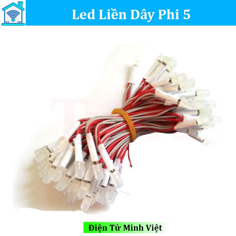 Led Liền Dây Phi 5 1 Cuộn 100 led , Màu Tùy Chọn (200g)