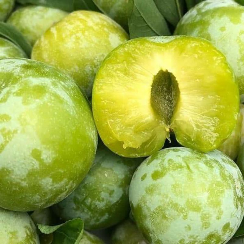 MẬN HẬU (VƯỜN SƠN LA) | BigBuy360 - bigbuy360.vn