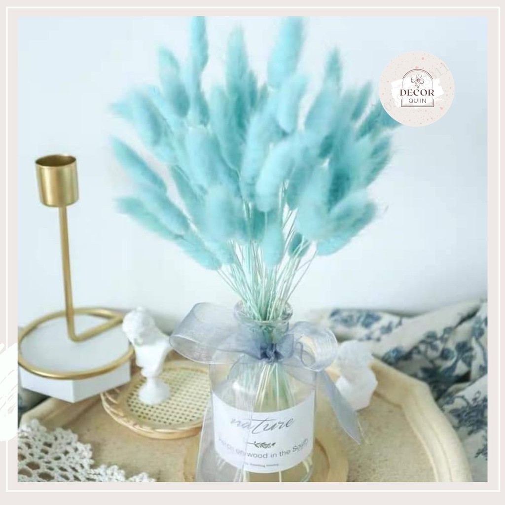 Cỏ đuôi thỏ  [Loại A]❤️40g hoa khô trang trí nhà cửa decor chụp ảnh trang trí bình gốm sứ lọ thủy tinh