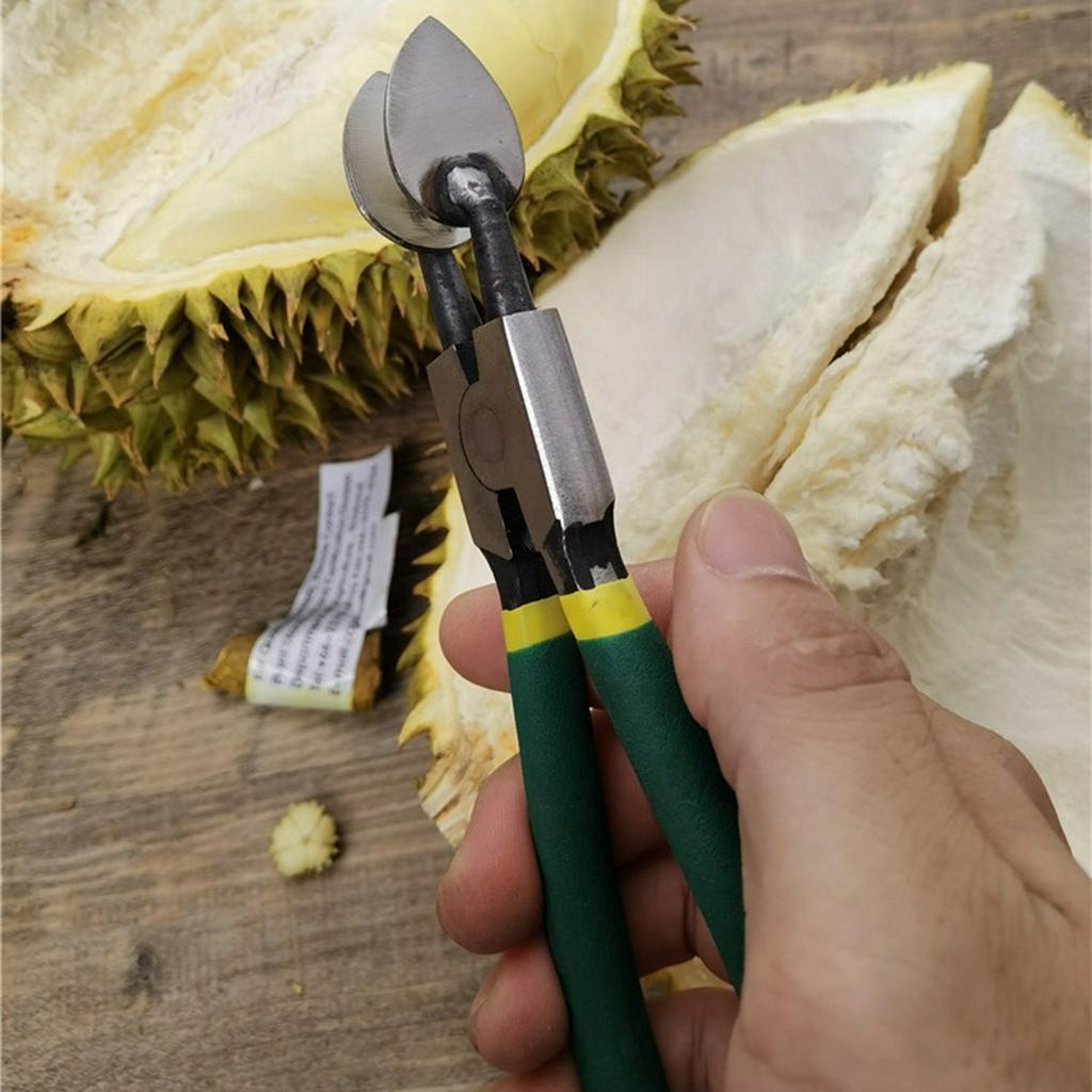 Dụng Cụ Kẹp Mở Trái Sầu Riêng Bằng Thép Không Gỉ Dụng cụ kìm bóc vỏ sầu riêng kẹp sầu riêng