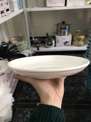 Đĩa trắng 8 inch lòng thấp