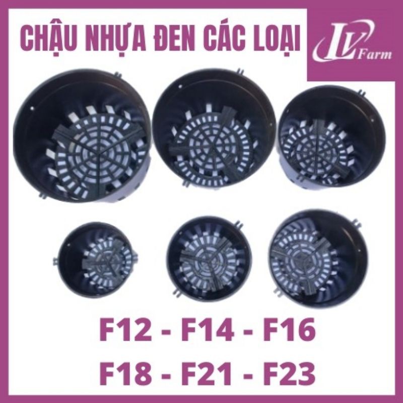 Chậu nhựa đen trồng Lan phy 12-14-16-18 và 21cm