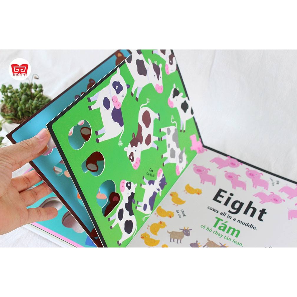 Sách Cầu vồng kiến thức - Sắc màu, sắc màu ở khắp mọi nơi - A rainbow book of learning | BigBuy360 - bigbuy360.vn