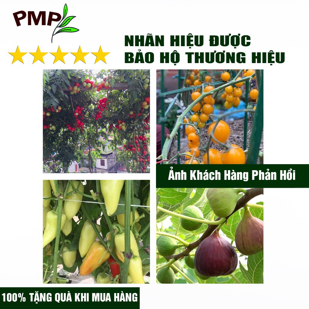 Combo 2 Chai Phân SOYMIC V PMP Siêu Phân Bón Ủ Vi Sinh Từ Đậu Nành, Trứng, Chuối, Humic, Vi Lượng Cho Rau Sạch