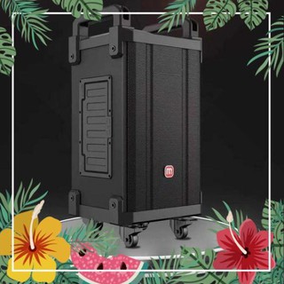 Loa kéo di động malata 9037a