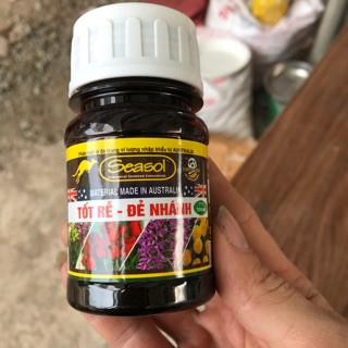 Phân Tảo Biển SEASOL siêu ra rễ đẻ nhánh nhiều