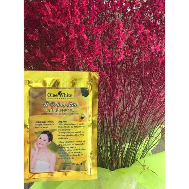 [SP Chính Hãng] Ủ TRẮNG MẶT HUYẾT YẾN COLLAGEN ( hàng chuyên dùng trong spa) | BigBuy360 - bigbuy360.vn