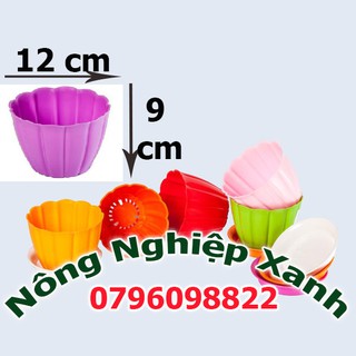 Chậu hoa nhựa để bàn