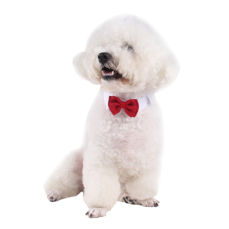 Vòng Cổ Nơ Đeo Cổ Cho Thú Cưng Cỡ Nhỏ / Vừa / Nhỏ