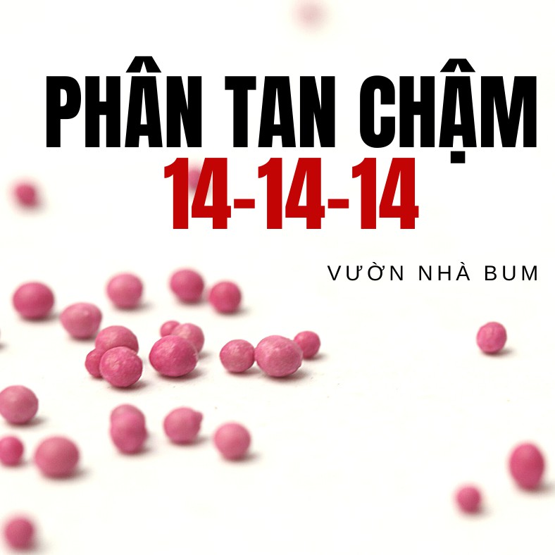 Phân tan chậm cho sen đá