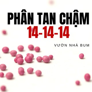 Phân tan chậm cho sen đá