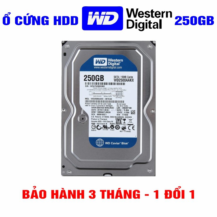 Ổ cứng HDD 3.5” Western Digital 250GB - Chính Hãng – Bảo hành 3 tháng 1 đổi 1 – Tháo máy đồng bộ mới 99% - HDD WD xanh