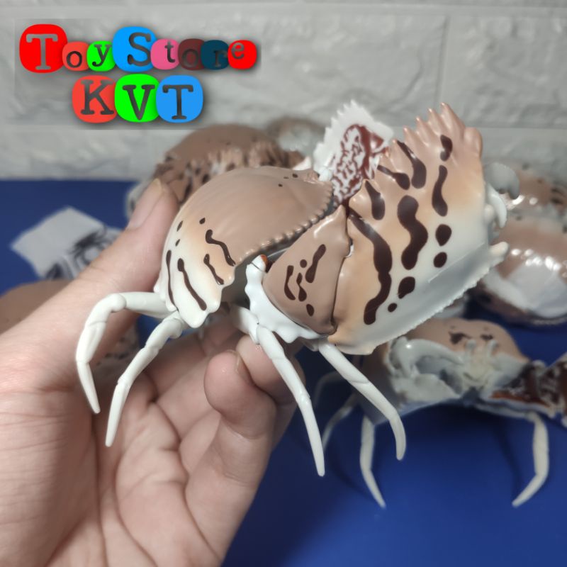 Mô Hình Gachapon Cua Hộp Sọc đỏ Red-streaked Box Crab (Dango Mushi 06 by Bandai)