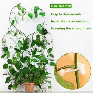 Combo 10 kẹp cố định cây dây leo, kẹp cây trầu bà , cây leo tường, cố định.
