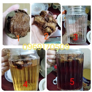 1kg quả la hán khô (khoảng 65 quả) pha nước uống