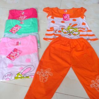 Combo lê thị lệ