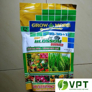 Phân bón lá 6-30-30+TE của Growmore Loại 1Kg