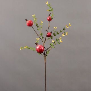 Cành lựu lá nhỏ