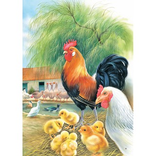 Sức Sống Rừng Xanh