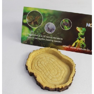Khay đựng thức ăn cho rùa cạn