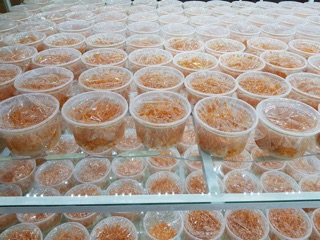 Nấm đông trùng hạ thảo 1 kg